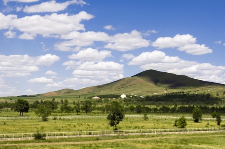 Meadow with trees and blue cloudy skyの写真素材