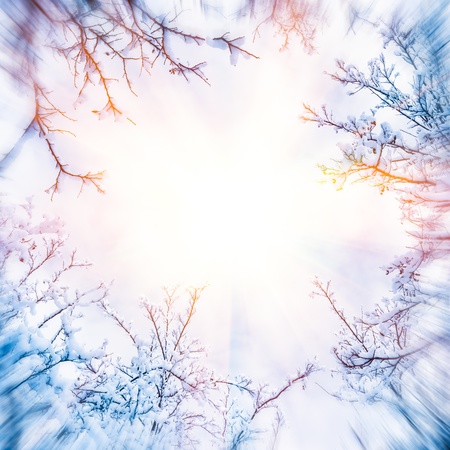 The branches of the snowの写真素材