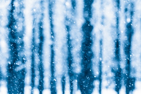 Winter snow storm in a forest with wind blowing the snowflakes through the trees