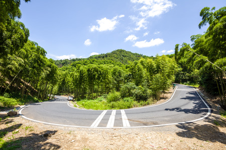 Road through the bamboo forestの写真素材