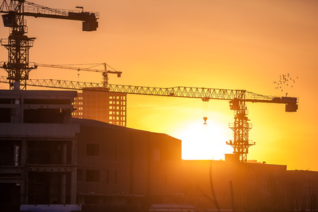 Cranes on a sunset backgroundのeditorial素材