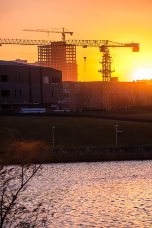 Cranes on a sunset backgroundのeditorial素材