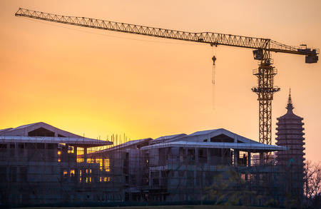 Cranes on a sunset backgroundのeditorial素材