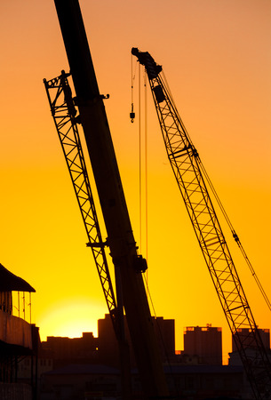 Cranes on a sunset background