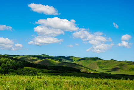 green field and blue skyの写真素材