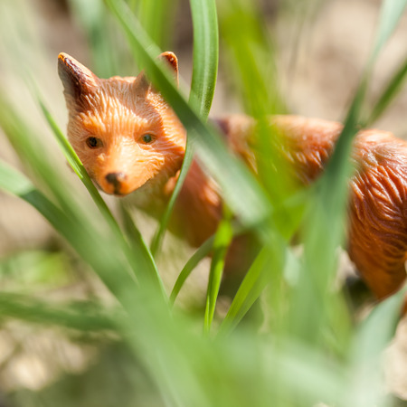 fox toy in outdoor