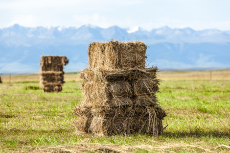 Haystack on the prairieの写真素材