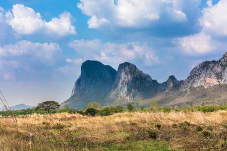 fields under blue sky in Thailandの写真素材