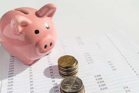 Coins are on the charts and piggy Bank, on financial documents, the concept of accounting and statistics, sunlightの写真素材