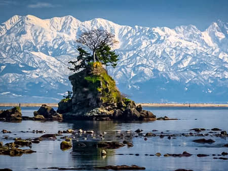 A lone tree on a rock in the water.