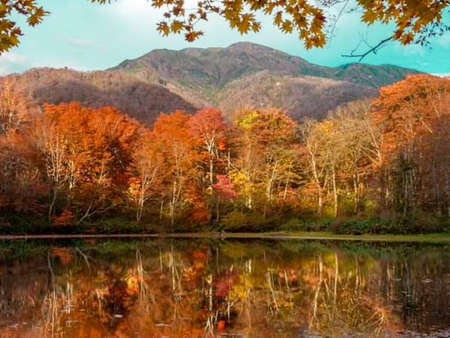 view of lake water, maple leaves and mountains in Japan.
