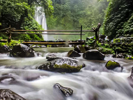 Waterfall in tropical rain forest, Bali island, Indonesia.の写真素材