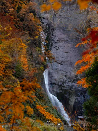 view of shomyo tateyama waterfall, japan.の写真素材