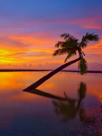 the beauty of the orange sunset in Indonesiaの写真素材