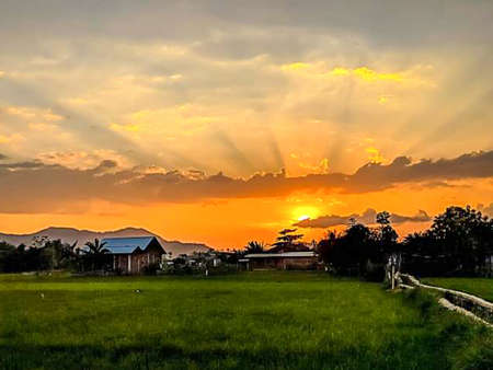 the beauty of the orange sunset in the rice fields and palm trees, in Indonesiaの写真素材