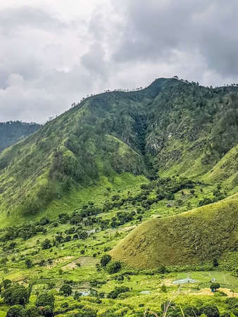 Aerial view of the beautiful landscape of the mountains with green grass and trees.の写真素材