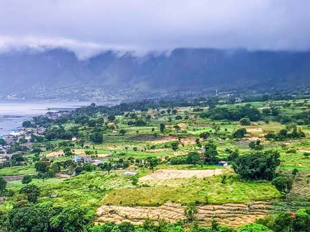 Rice field on a cloudy dayの写真素材