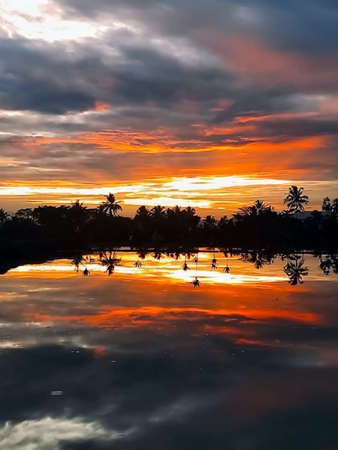A beautiful shot of a sunset over a lake with palm trees reflecting in the waterの写真素材