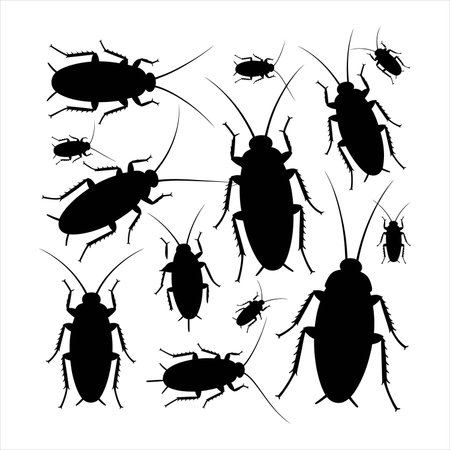 Minimalist black insect and  set in flat vector style, ideal for educational materials, pest control...