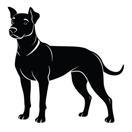 High-quality PNG illustration of a sleek black dog standing confidently, perfect for pet-related marketing, educational materials, and digital design projects requiring transparent backgrounds.のイラスト素材