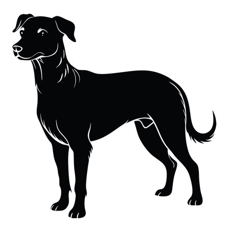 High-quality PNG illustration of a black dog in a standing pose, perfect for pet-related marketing, educational materials, web design, and print media with transparent background support.のイラスト素材