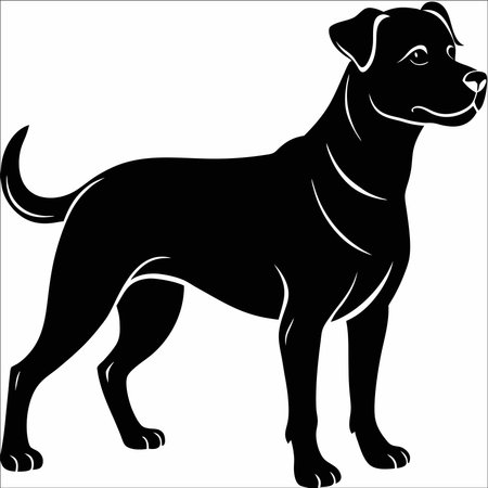 High-contrast vector illustration of a labrador dog, perfect for pet-related branding, web design, logos, and educational materials.のイラスト素材