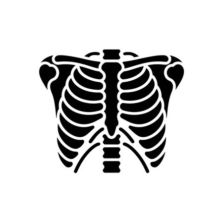 Minimalist vector illustration of a human rib cage, ideal for medical, educational, and anatomical...