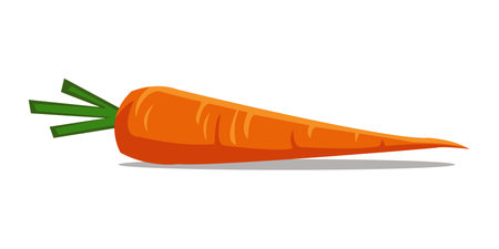 bunch of carrots isolated on transparent backgroundのイラスト素材