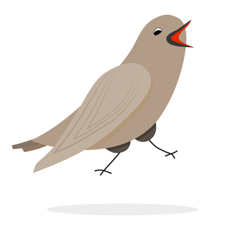 Singing nightingale character. Vector bird, illustration animalのイラスト素材