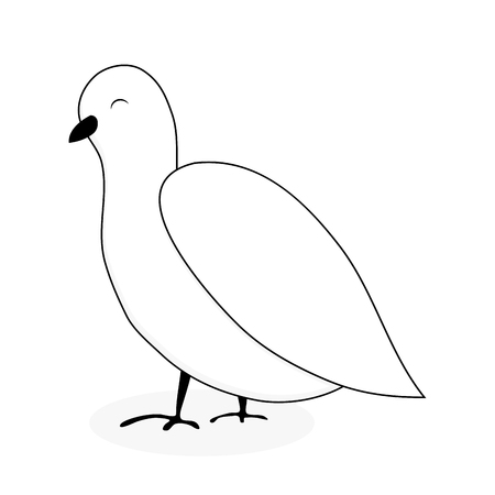 White dove animal vector. Dove and peace, white bird isolated, pigeon cartoon illustrationのイラスト素材