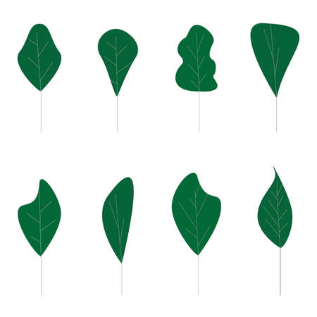 Green flat tree collection, abstract floral form. Tree plant eco, leaf environment, forest form floral, botanical and ecological wood. Vector illustrationのイラスト素材