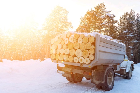 A truck with a full body of logs. Sale of lumber for firewood.の素材