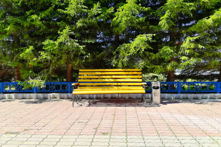 Yellow wooden bench. In the park on a bright sunny day. View from the front. There are pine trees at the back.の写真素材