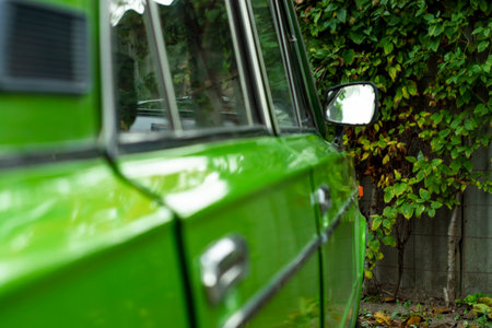 Liana on the fence in the background. And in the foreground is a green car in disfocus.の写真素材