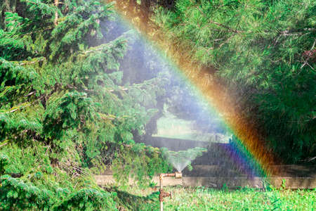 Rainbow from the water spray in the garden. Sunny summer day. Front view.の写真素材