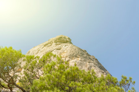 High rock and Crimean pine trees in the foreground. Sunny autumn day. Front view.の写真素材