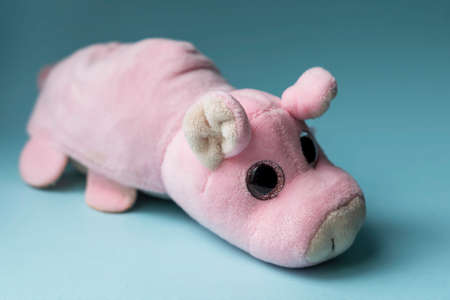 Plush toy pink pig. Indoors, day light Front view.