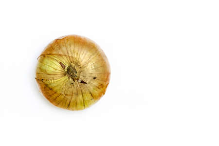 Half of head onion vegetable isolated on white background texture. Copy space.の写真素材