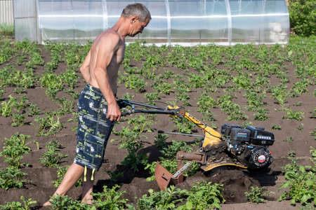 Man dipps potatoes with agromashine motorcultivator. Bashkortostan, Russia - 12 June, 2021.のeditorial素材