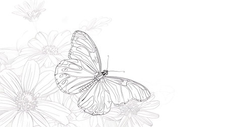 outline of a butterfly perched on a flowerのイラスト素材