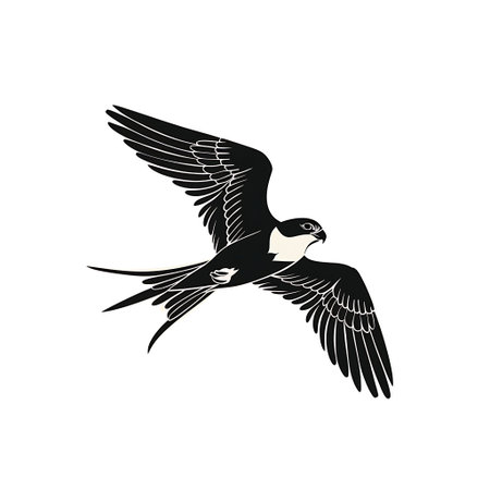 Swift Falcon in Full Flightのイラスト素材