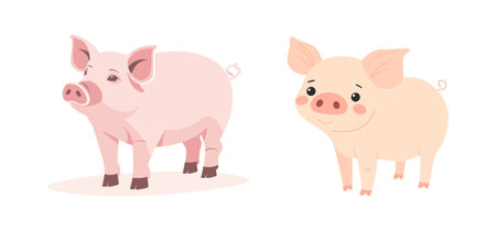 A cute pig simple flat illustrationのイラスト素材