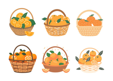 A basket of orangesのイラスト素材