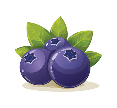 A cute Acai fruit illustrationのイラスト素材
