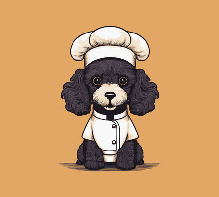 Poodle in a chef costumeのイラスト素材