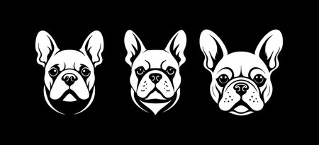 Bulldog Logo Black and Whiteのイラスト素材