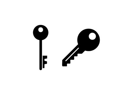 Sleek Key Access Iconのイラスト素材