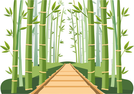 Hidden Path Through Bamboo Forestのイラスト素材