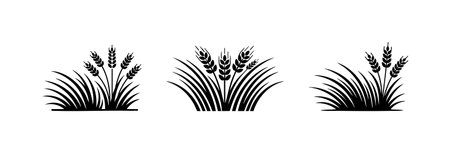 Black and White Prairie Grass Wheat Field Design.のイラスト素材