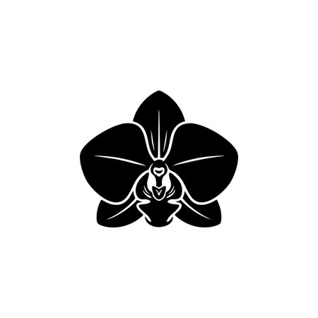 phalaenopsis orchid black silhouette icon.のイラスト素材